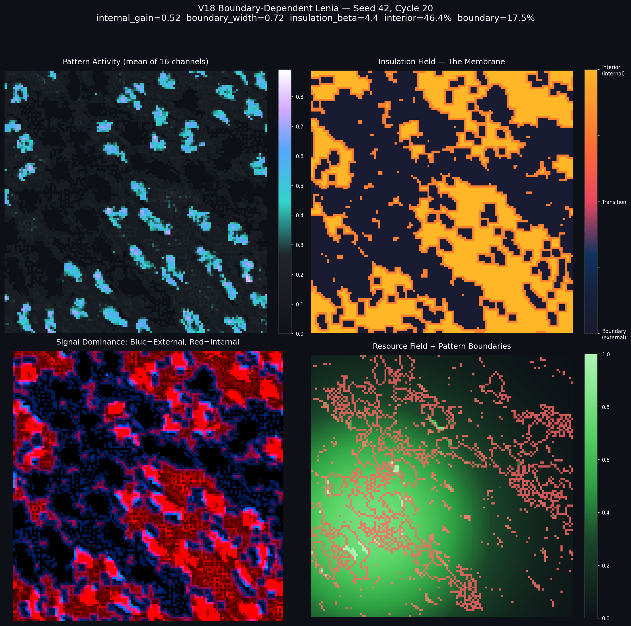 V18 boundary-dependent Lenia four-panel snapshot